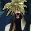 tropical priest