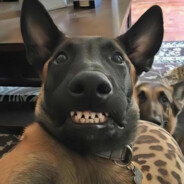 和女人交流有障碍