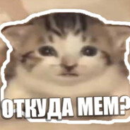 loss зппп