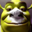 shrek não sabe brincar.