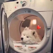 我是不是太乐观了