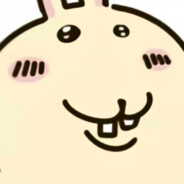 穿粉色打底衫的猫