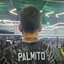 twitch.tv/palm1to99