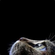 ^0[^1CW^0]-={^1Amd-xP^0}=- - steam id 76561197970964774