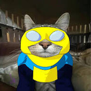 Mojrzesz