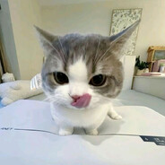 ) - steam id 76561198134500982