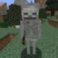 Skeleton