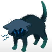 小戒是小猫来的