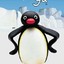 pingu