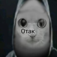 ОТАК
