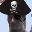 21 ships