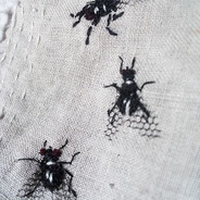 СИСЬКИ ОРЕХИ СИСЬ