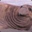 SaggySeal