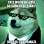 Agent_Doge