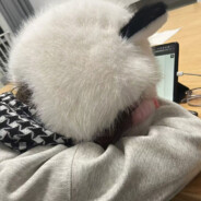 小瑄的贴身保镖