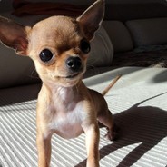 认真是一种态度