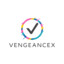 ム VengeanceX