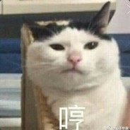 Leepipi