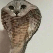 78392947389285858683778387's Avatar