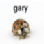 Gary