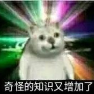 ᶘ ͡°ᴥ͡°ᶅ8848钛合金