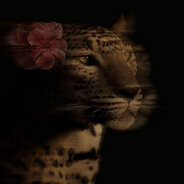 𝓜𝓸𝓻𝓮𝓷𝓪