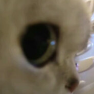 我给你把空调开开吧