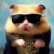 ХАМСТЕР БОСС