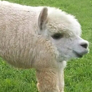 宇宙无敌超级暴龙神