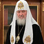 член в кобыле