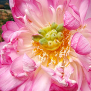 姐姐晚上一个人吗o.O