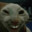 bonickey avatar