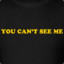 彡You Can&#039;t See Me彡