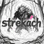 &quot;DBT | Strekach&quot;
