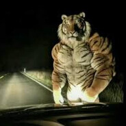 Giovanni inima de tigru