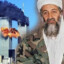 Usame bin ladin