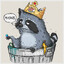 Absurd Raccoon