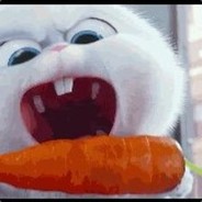 猪儿虫和象拔蚌