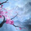 汚い