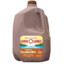 Land O Lakes Chocolate Milk