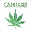 cannabiss