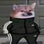Don Gocu