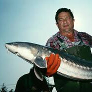 Earl Sturgeon