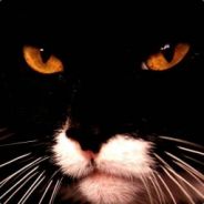 BisKuit - steam id 76561197971780666