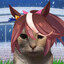 Tocat Teio