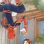 十里霜红