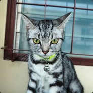 BUTAAAAAAAAAAAAAAAAAAAAAAAAAAAAA