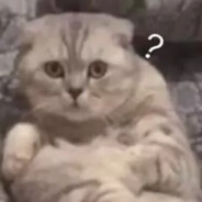 我是托马斯有人托我让你妈斯