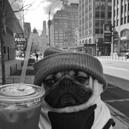 冯提莫是我炮友