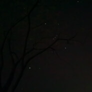 芝士雪豹爱抽芙蓉王